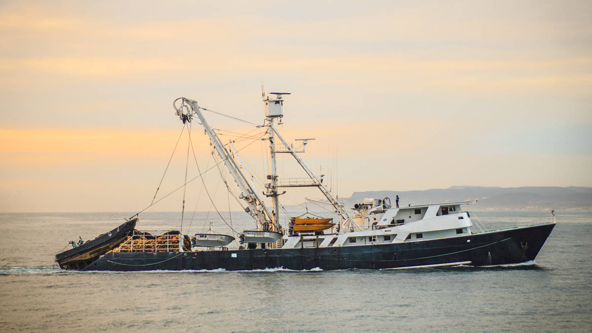 Proyectos de investigación